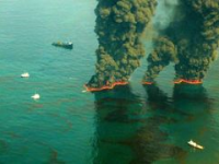 Il disastro petrolifero Deepwater Horizon/BP e le sue conseguenze