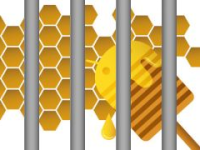 Honeycomb, la piattaforma mobile “aperta” e “libera” secondo Google