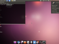 Ubuntu 10.04: la mia esperienza con Lucid Lynx