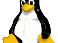 5 cose che mi piacciono di Linux