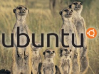 La strada verso Ubuntu 10.10: l’installer