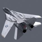 Aero da guerra F14