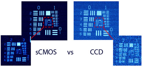 scmos_vs_ccd.jpg