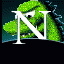 Netscape old logo - From Slashdot