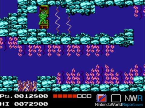 TMNT NES Screenshot